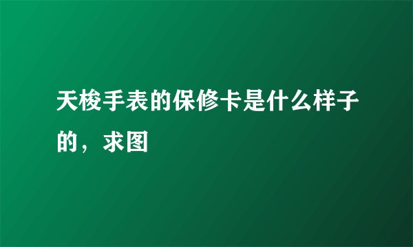 天梭手表的保修卡是什么样子的，求图