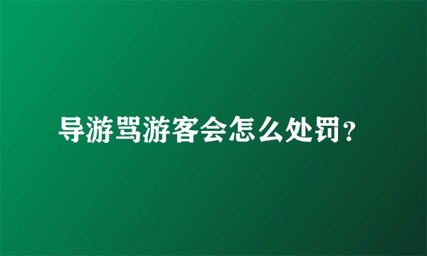导游骂游客会怎么处罚？