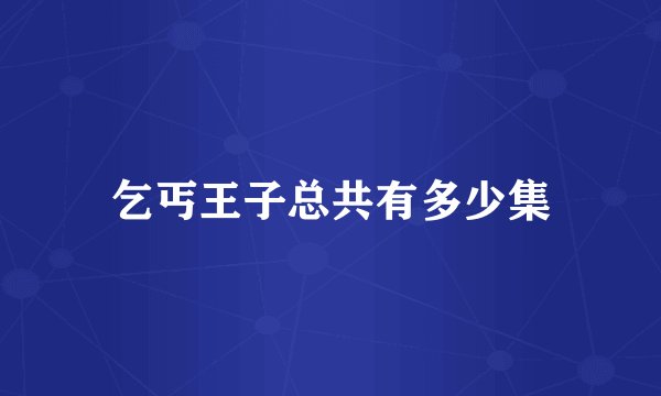 乞丐王子总共有多少集
