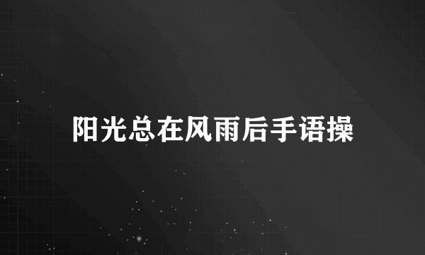 阳光总在风雨后手语操