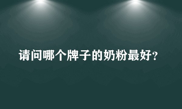 请问哪个牌子的奶粉最好？
