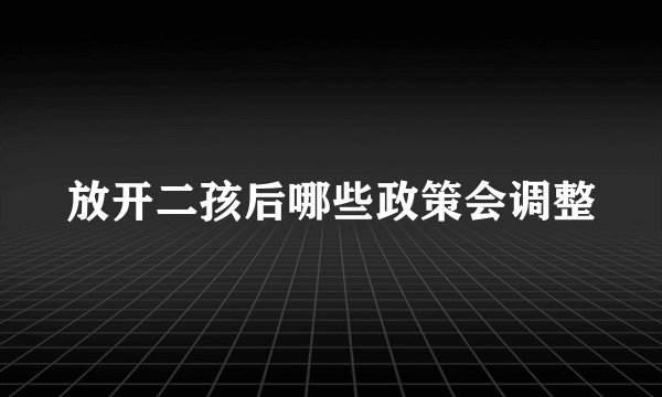 放开二孩后哪些政策会调整