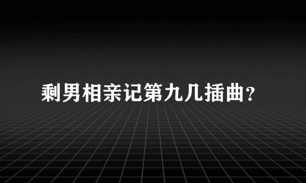 剩男相亲记第九几插曲？