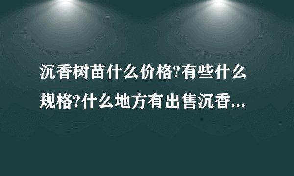 沉香树苗什么价格?有些什么规格?什么地方有出售沉香树苗的?