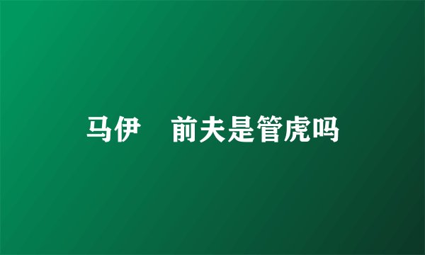 马伊琍前夫是管虎吗