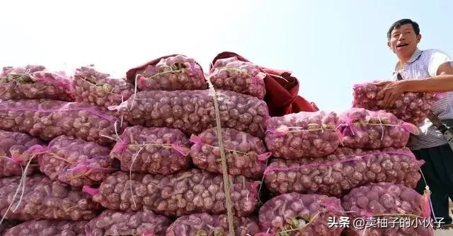 大蒜降价了