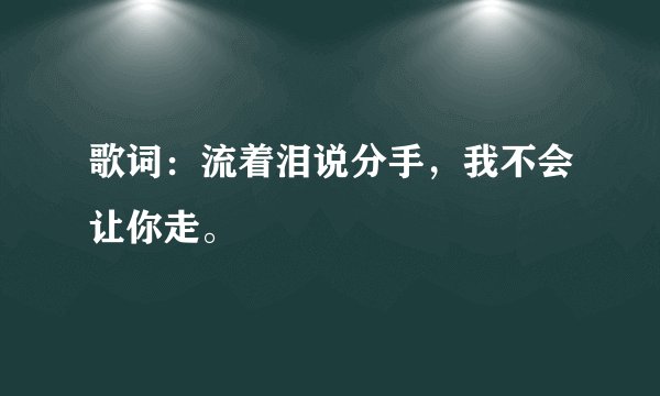 歌词:流着泪说分手,我不会让你走。