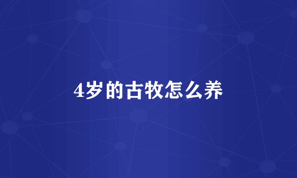 4岁的古牧怎么养