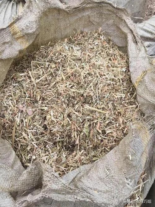 花生秧粉怎么喂鸭好?