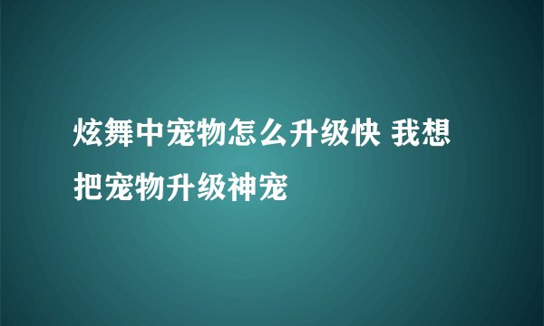 炫舞中宠物怎么升级快 我想把宠物升级神宠
