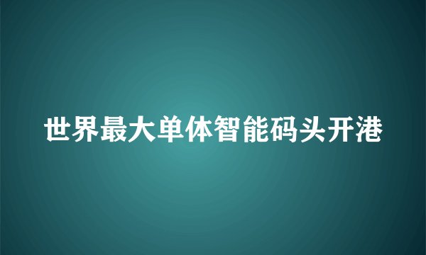 世界最大单体智能码头开港