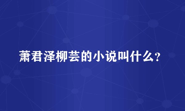 萧君泽柳芸的小说叫什么？