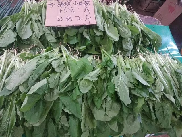 猪价8连跌,北方跌破7元,旺季不旺,养猪人深亏,中秋能涨吗?