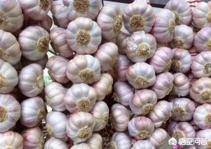 2019年会不会重现当年的“蒜你狠”?