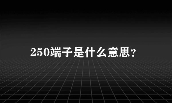 250端子是什么意思？