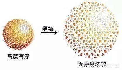 世界到底存在不存在时间？时间是不是人类自己创造的？