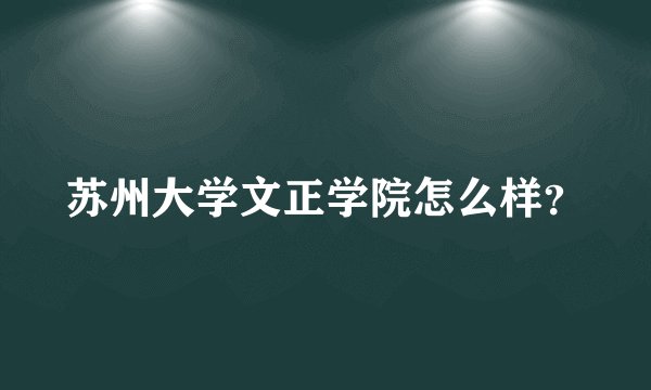 苏州大学文正学院怎么样？