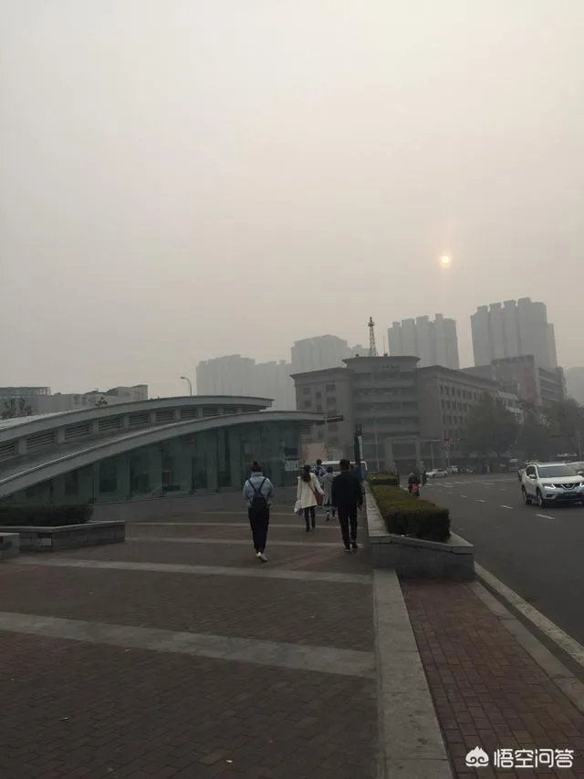 生活中你经历过哪些奇趣的事?