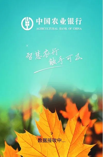 农业银行卡卡号查询