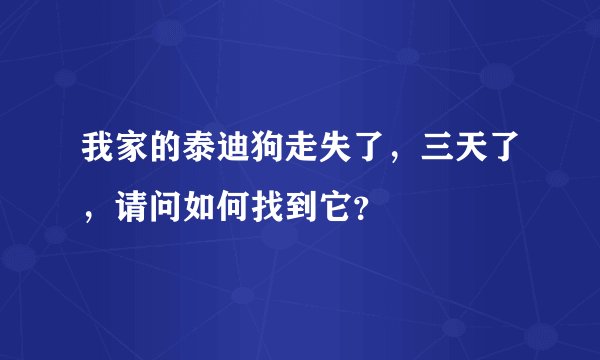我家的泰迪狗走失了，三天了，请问如何找到它？