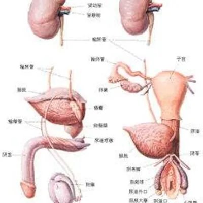 如何治疗阳痿病?
