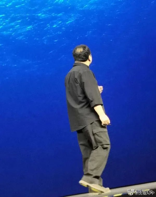罗永浩秃顶的原因是什么?