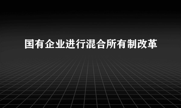 国有企业进行混合所有制改革