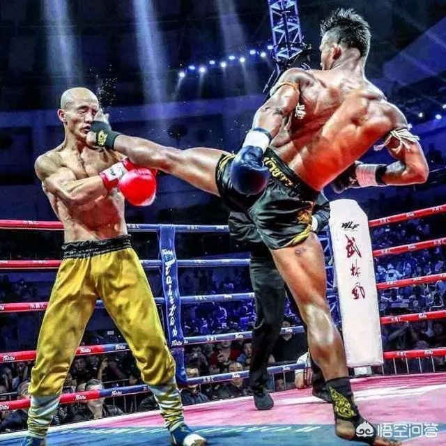 武僧一龙两次被KO却公开表示拒绝退役，你怎么看？