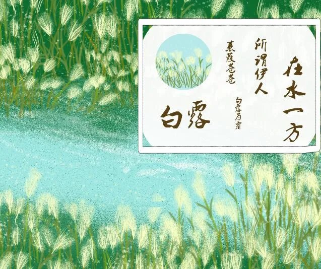 与白露有关的优美的诗句  关于白露节气的美好诗句及赏析