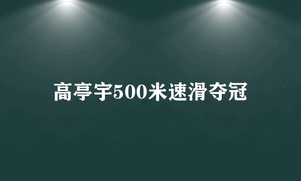 高亭宇500米速滑夺冠