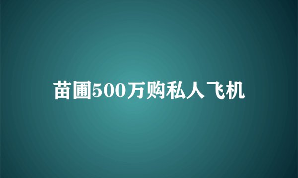 苗圃500万购私人飞机