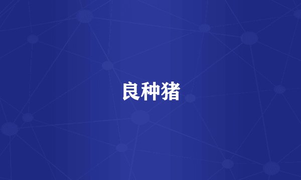 良种猪