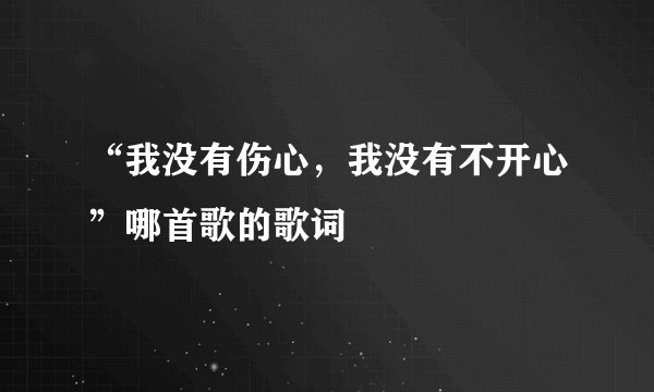 “我没有伤心,我没有不开心”哪首歌的歌词