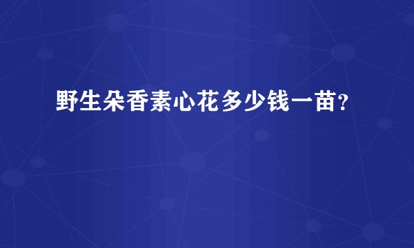 野生朵香素心花多少钱一苗？