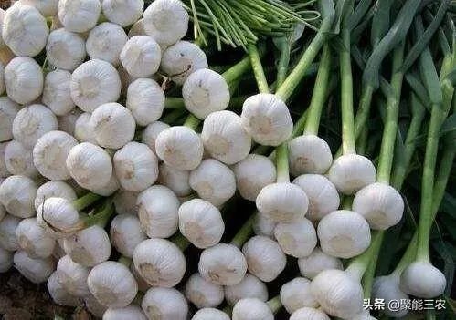 大蒜降价了