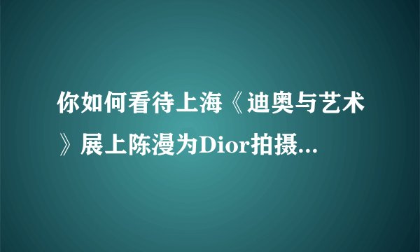 你如何看待上海《迪奥与艺术》展上陈漫为Dior拍摄的作品?