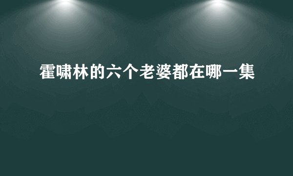 霍啸林的六个老婆都在哪一集