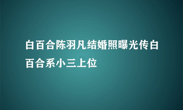 白百合陈羽凡结婚照曝光传白百合系小三上位