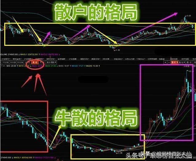 大牛股有哪些特征?熊市有没有大牛股?