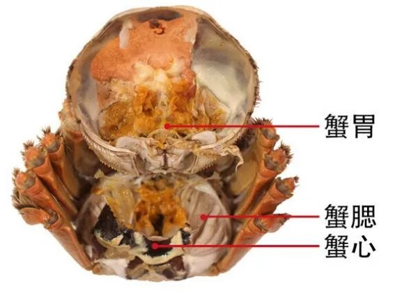 大闸蟹打开里面紫色膏状物是什么?能吃吗?