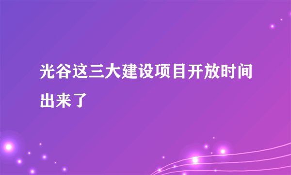 光谷这三大建设项目开放时间出来了
