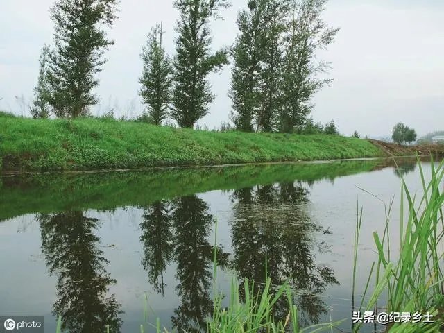 池塘里没有放鱼,但是过一段时间有小鱼了,是怎么产生的呢?