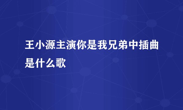 王小源主演你是我兄弟中插曲是什么歌