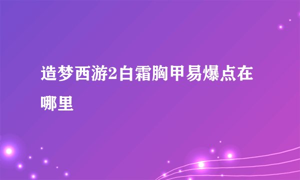 造梦西游2白霜胸甲易爆点在哪里