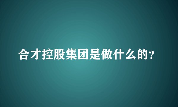 合才控股集团是做什么的？