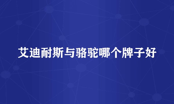 艾迪耐斯与骆驼哪个牌子好