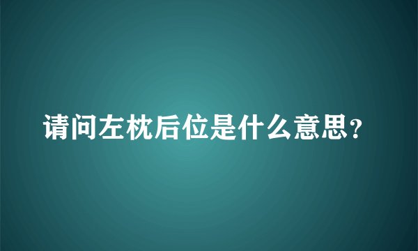 请问左枕后位是什么意思？