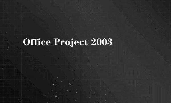 Office Project 2003