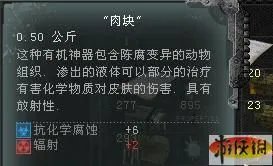 《迷失地带之普里皮亚季的召唤》“寻宝者”成就 全神器+产地简介