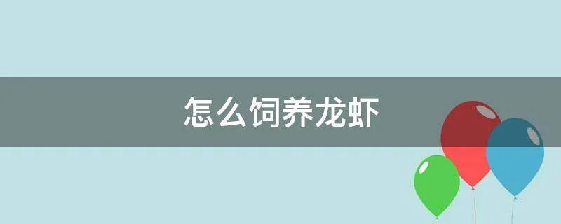 怎么饲养龙虾